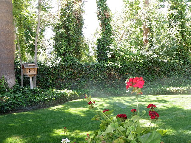 Intel(R) JPEG Library, version [2.0.14.46]